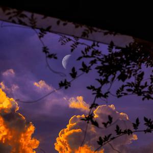 人马猪狗驴高清视频大全播放
